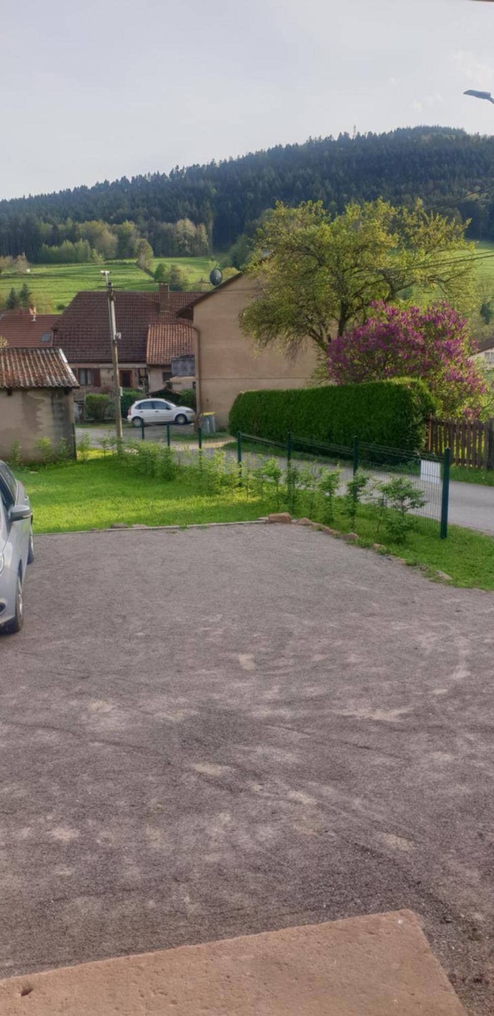 La Fermette Vosgienne De La Goutte Apartman Steige Kültér fotó