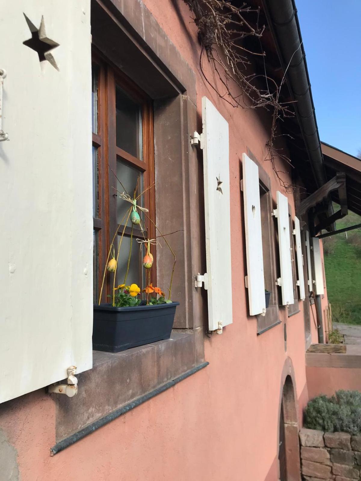 La Fermette Vosgienne De La Goutte Apartman Steige Kültér fotó