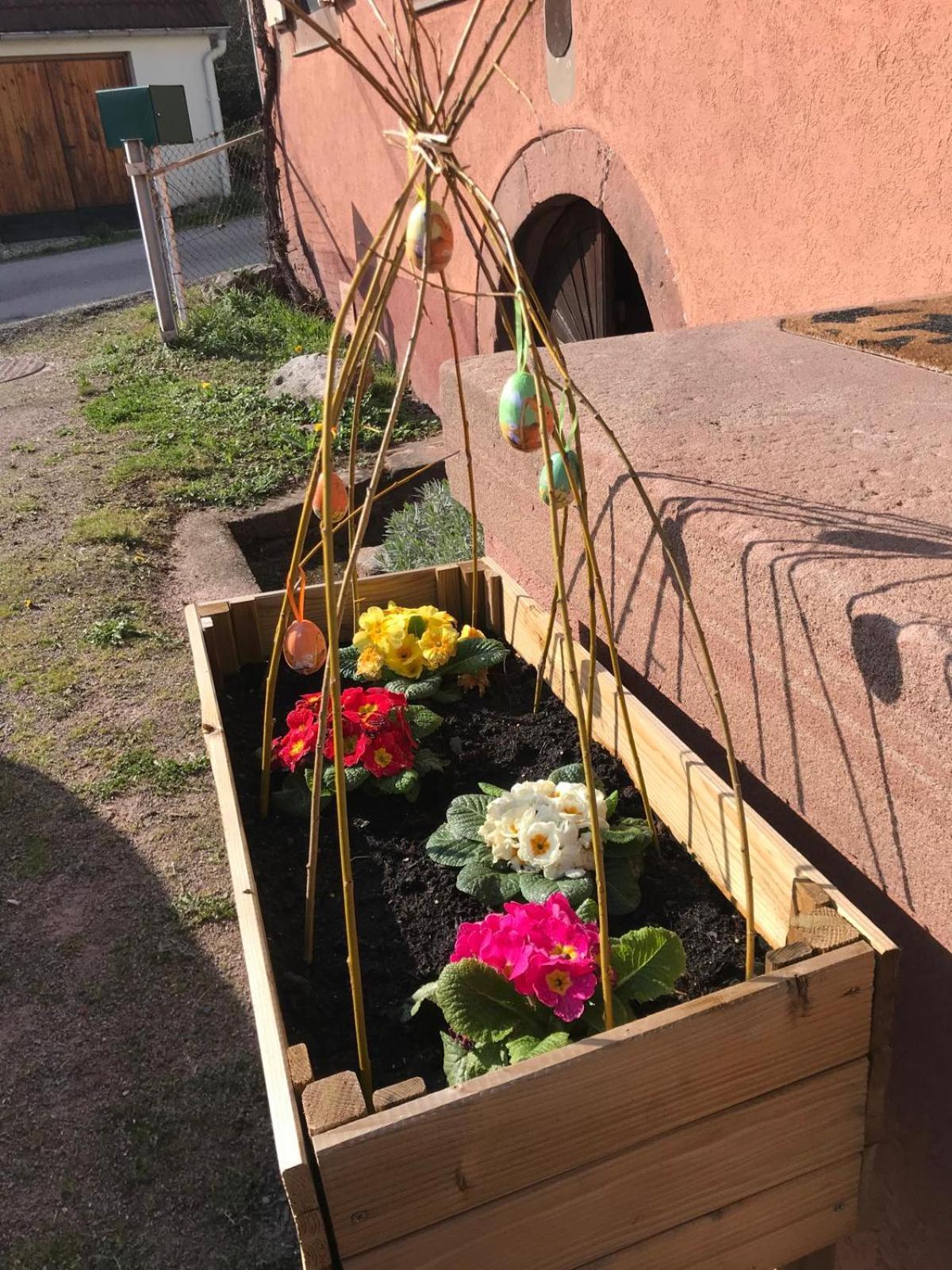 La Fermette Vosgienne De La Goutte Apartman Steige Kültér fotó
